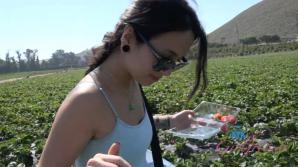 You take Mi Ha to the Farm!