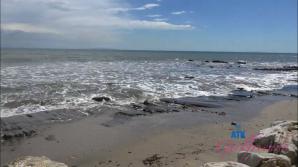 Selina Imai Paradise Cove Part 1