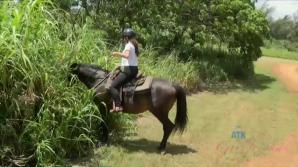 You got to fuck her again in Oahu